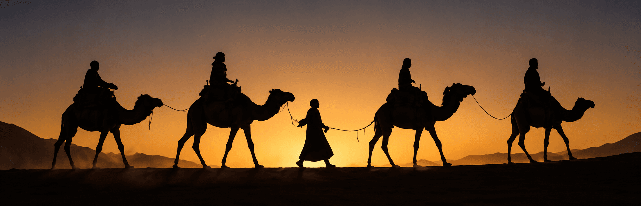 Silhouetted camels in Moroccan desert camp during sunset