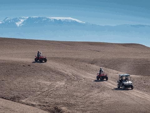 Happy Traveler in Sahara Dunes