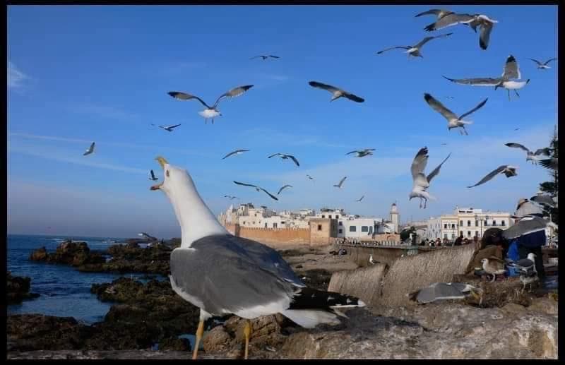 Haitam and Clients in Moroccan Desert