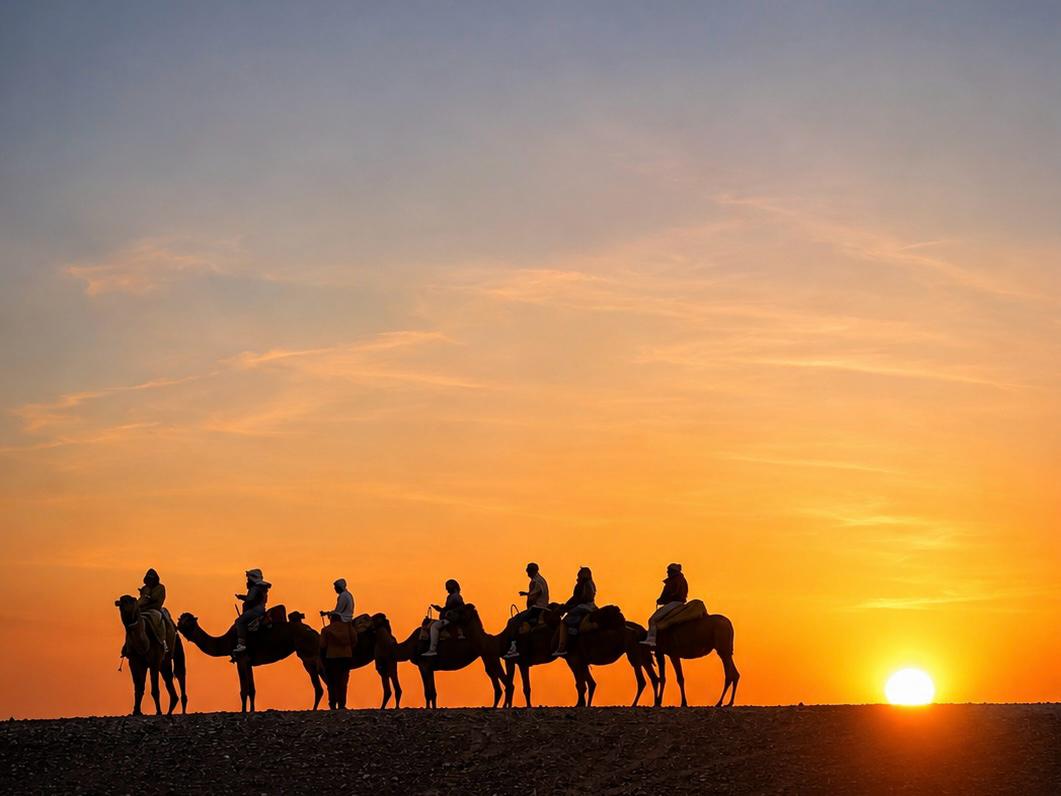 Merzouga Desert – camel caravan at sunset on the Erg Chebbi dunes of the Sahara