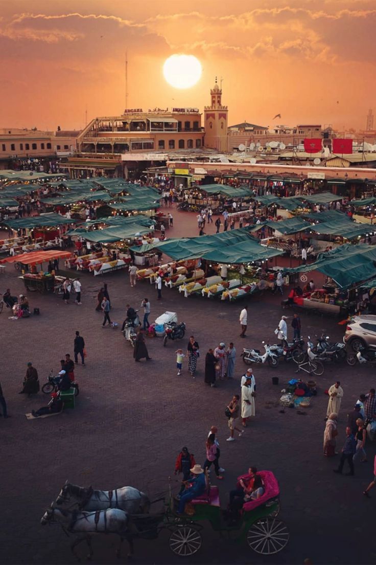 Pacchetto vacanza Marrakech 400 euro – musico Gnawa con scimmia nella Medina, souk e moschea Koutoubia